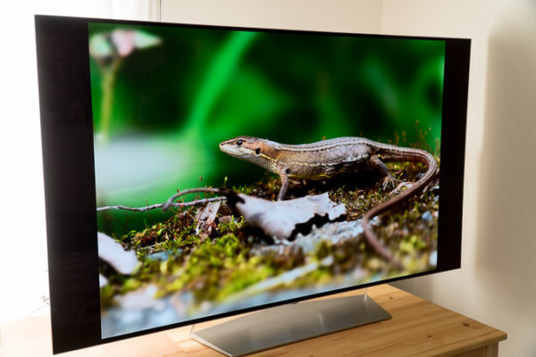 LG 55V型 有機EL 4Kテレビ OLED55C7P - テレビ